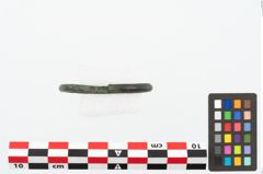 Foto von Bronzearmreif (NHMW-PRAE-026619)
